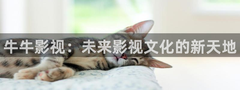 风流韵事出租车神马影院