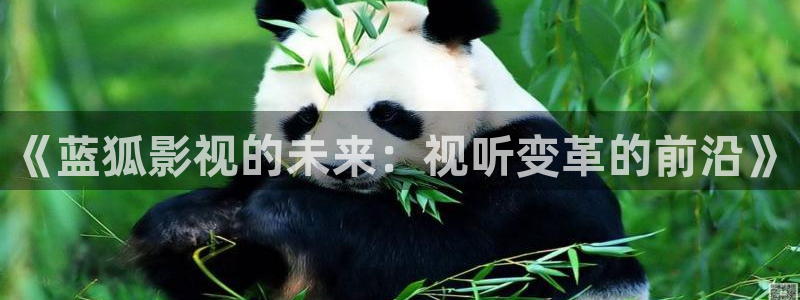 原来的神马影院网