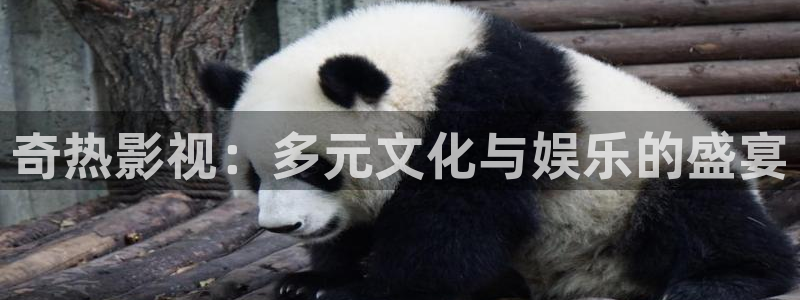 邻居的妻子神马影院