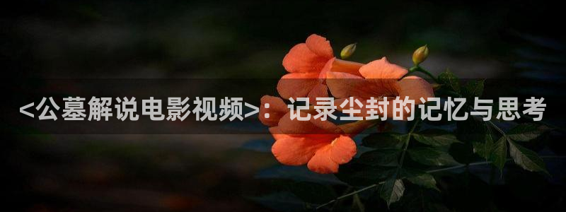 新闻图片