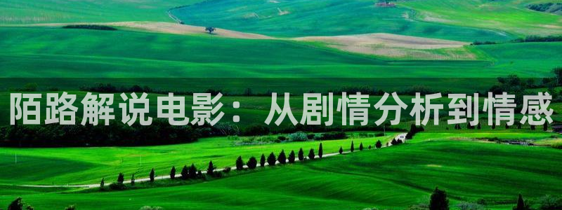 神马电影不卡伦理