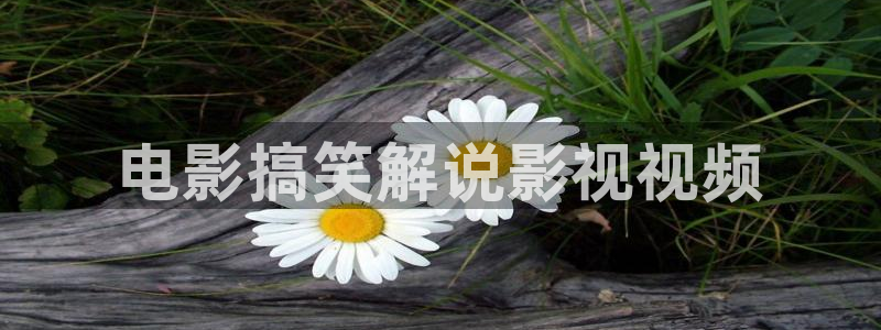 97神马影院伦理片