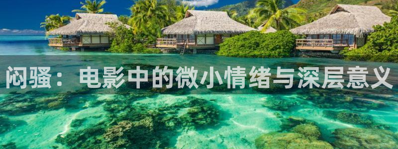 男女神马影院