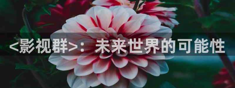 原来神马电影电视剧网