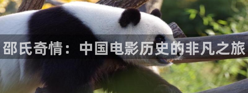 神马我不卡影院午夜伦